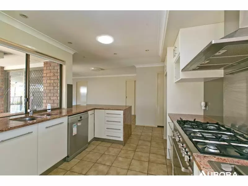72 Dorsal Drive, Birkdale Leased by Aurora Property - image 5
