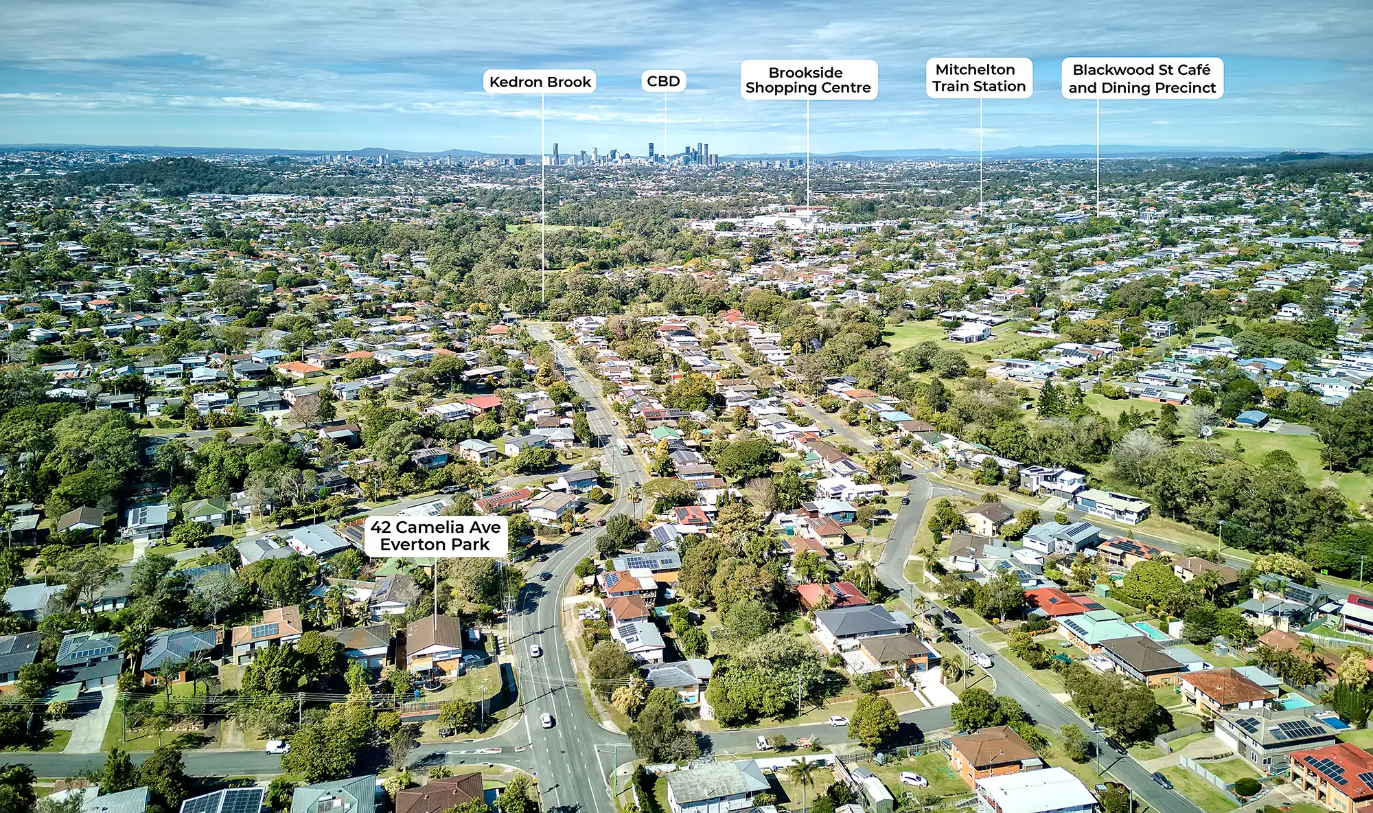 42 Camelia Avenue, Everton Hills Sold by Aurora Property - image 22