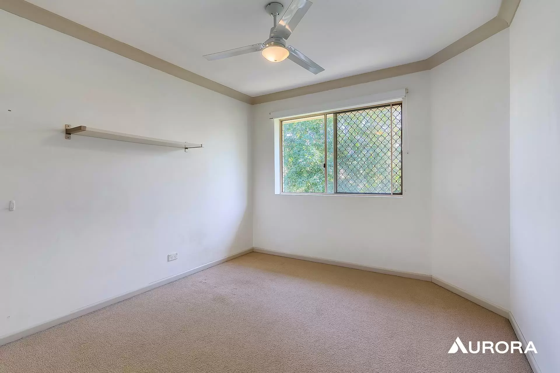 5/20 Buxton Street, Ascot Leased by Aurora Property - image 9