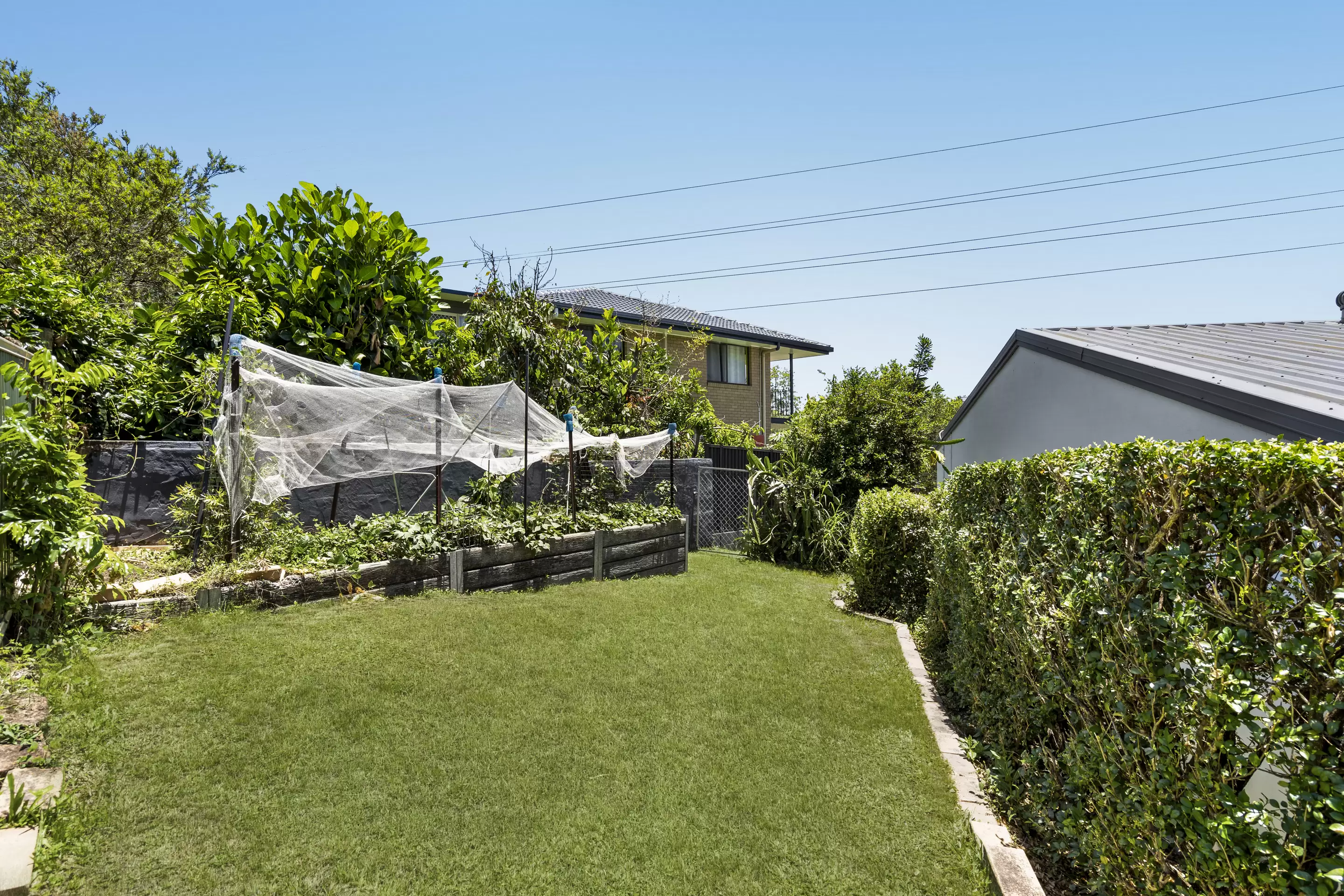 14 Kyoomba Street, Murarrie Sold by Aurora Property - image 18