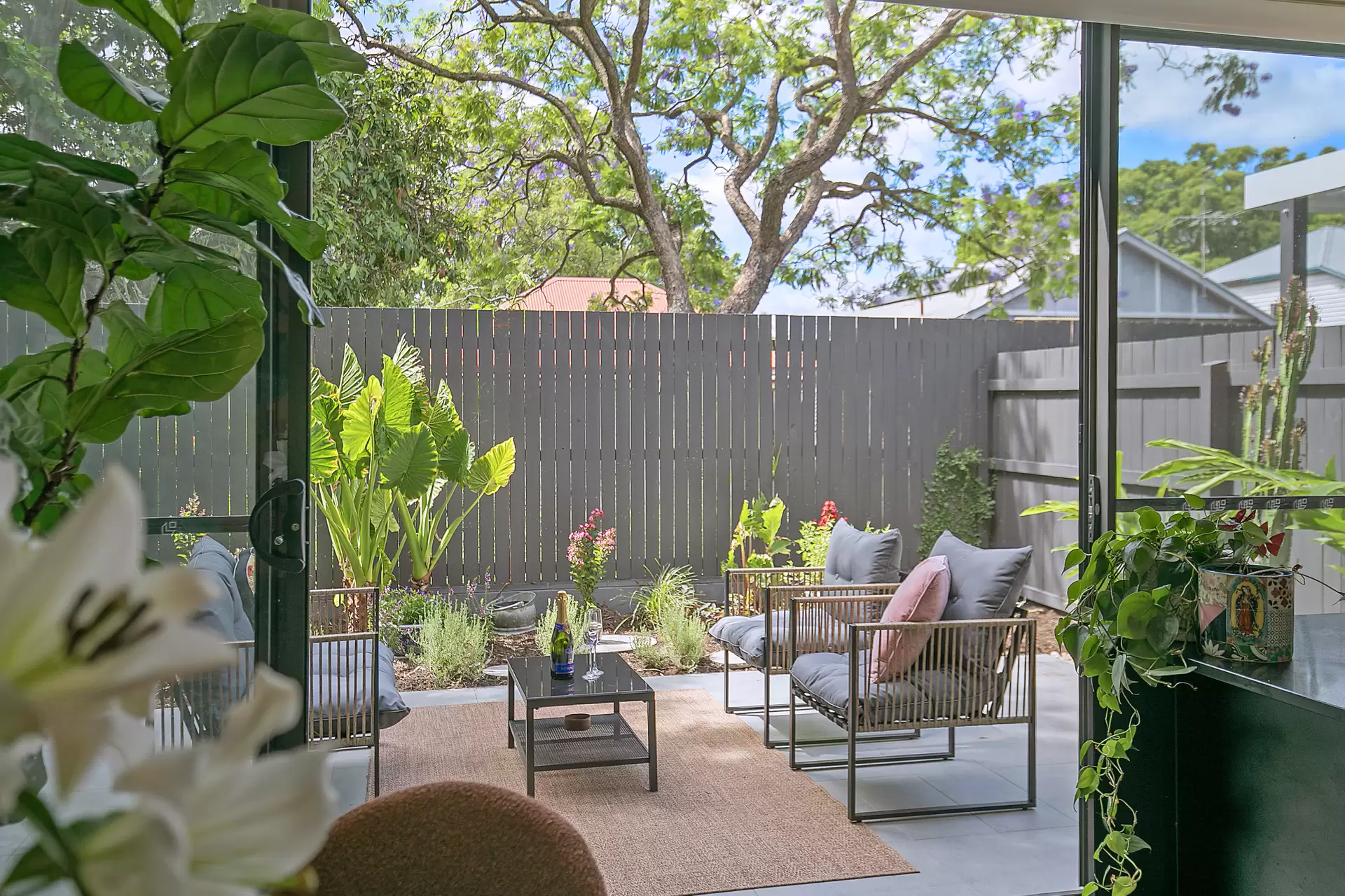 3/175 Allen Street, Hamilton Sold by Aurora Property - image 1
