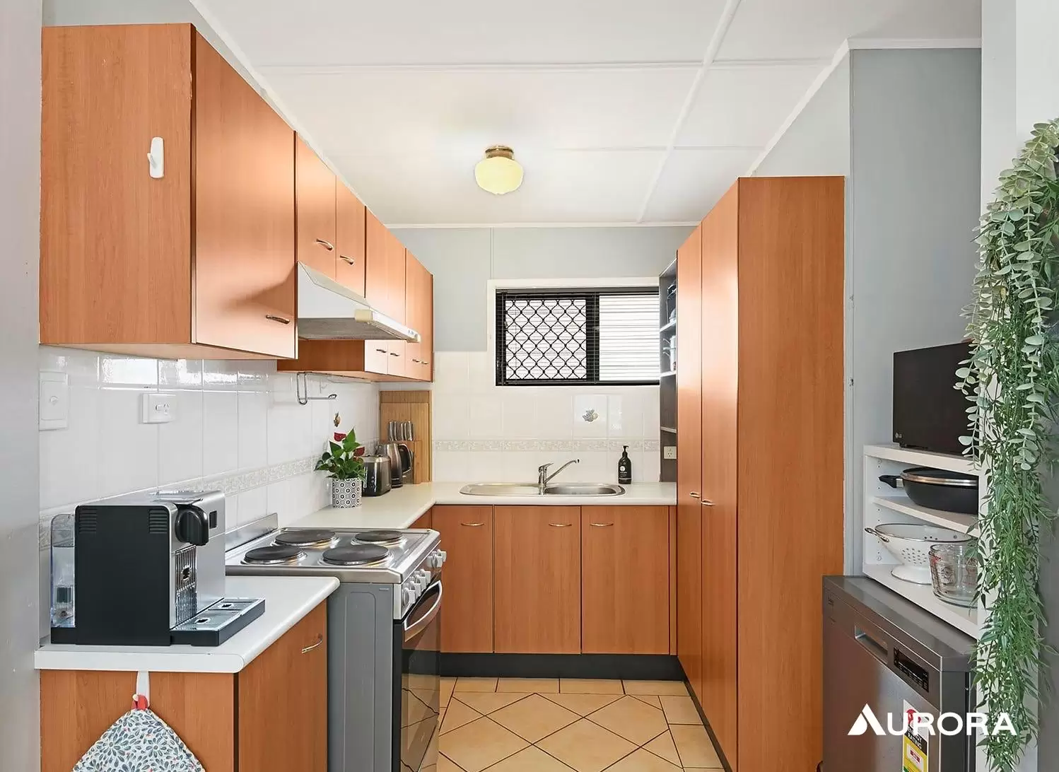 77 Beauvardia Street, Cannon Hill Leased by Aurora Property - image 2