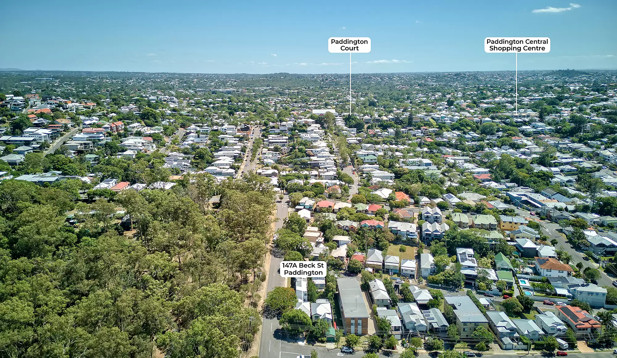147 Beck Street, Paddington Sold by Aurora Property - image 15