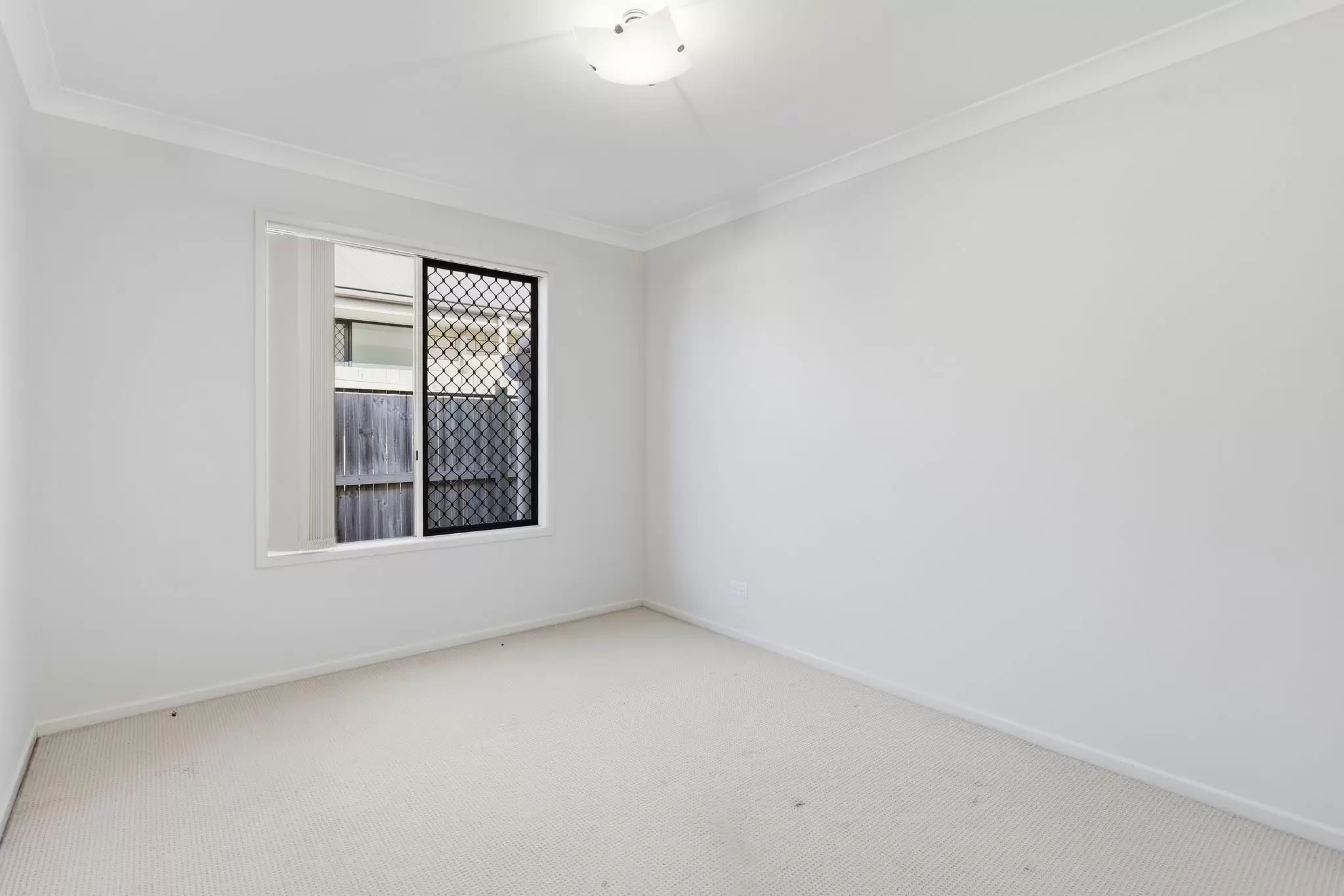 11 Pressland Street, Carseldine Leased by Aurora Property - image 12