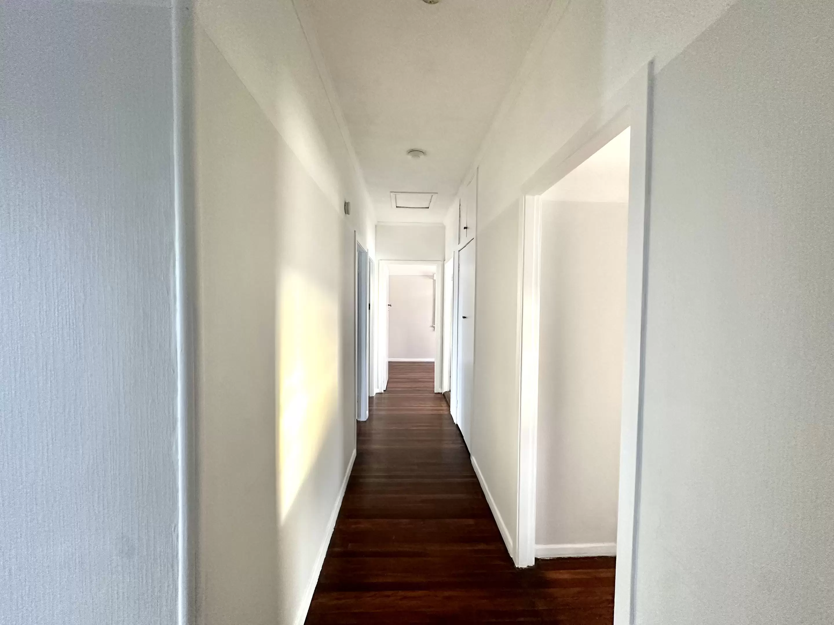 7 Hall Avenue, Norman Park Leased by Aurora Property - image 6