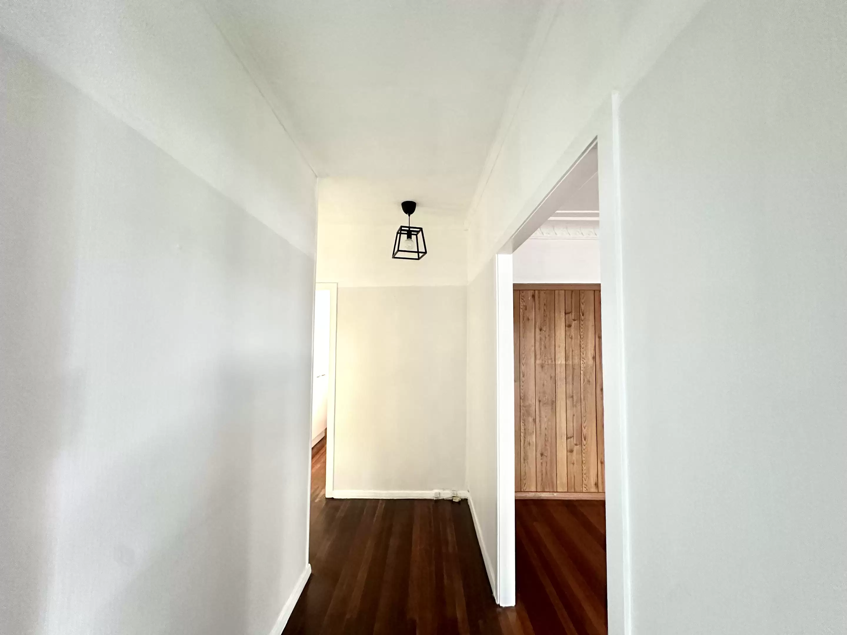 7 Hall Avenue, Norman Park Leased by Aurora Property - image 3