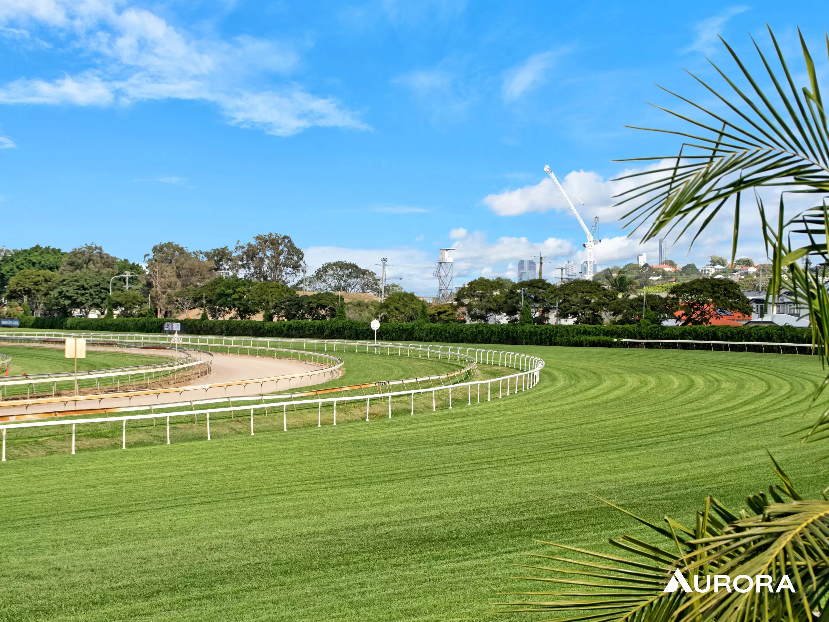 21 Raceview Avenue, Hendra Leased by Aurora Property - image 18