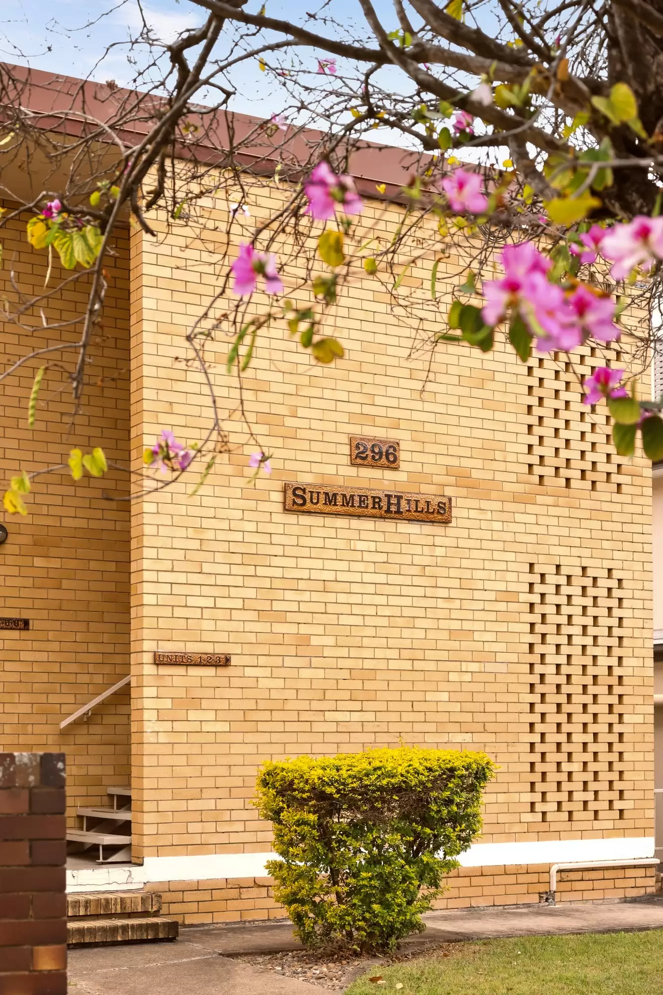 2/296 Cavendish Road, Coorparoo For Sale by Aurora Property - image 3
