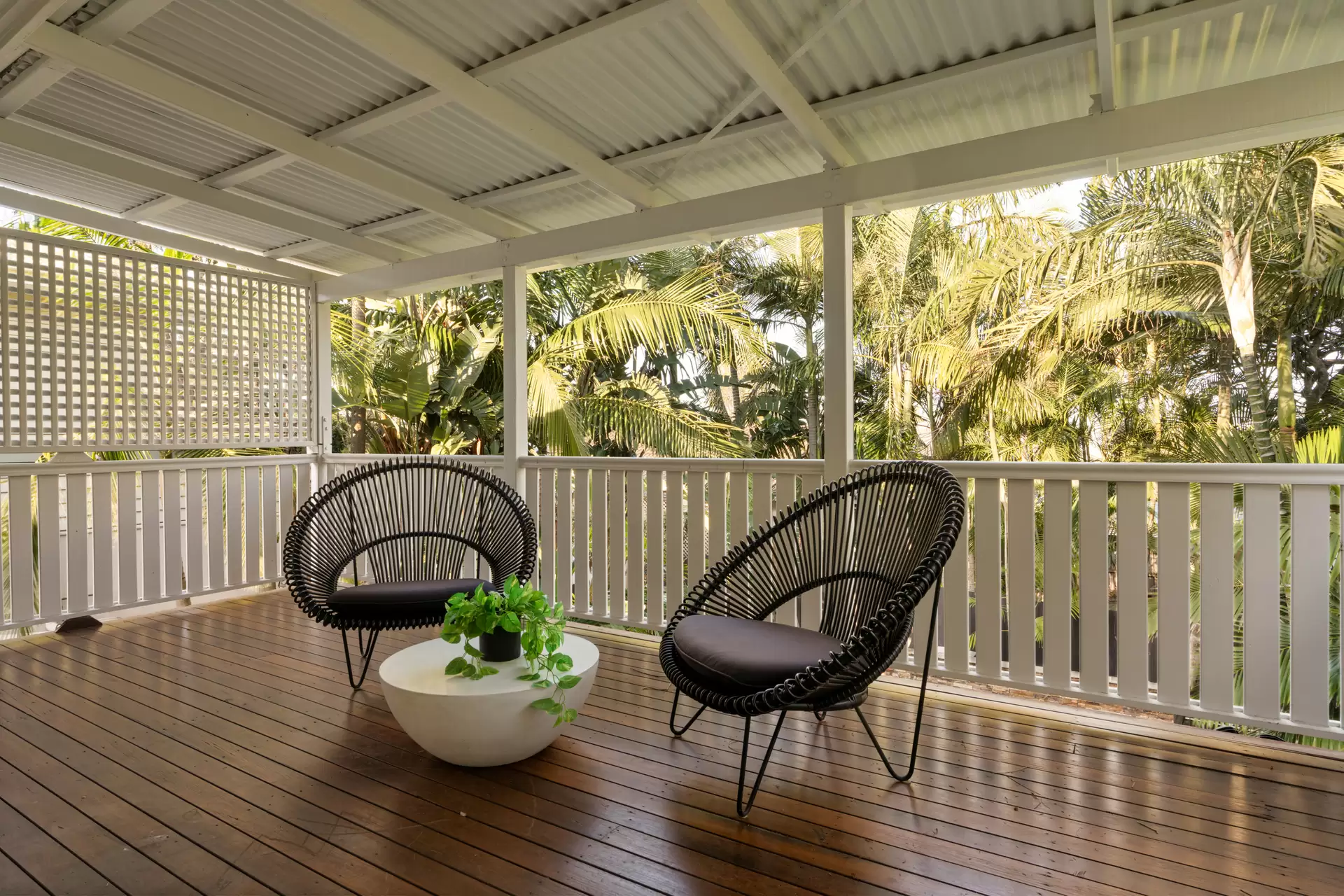 12 Noel Street, Hendra For Lease by Aurora Property - image 1
