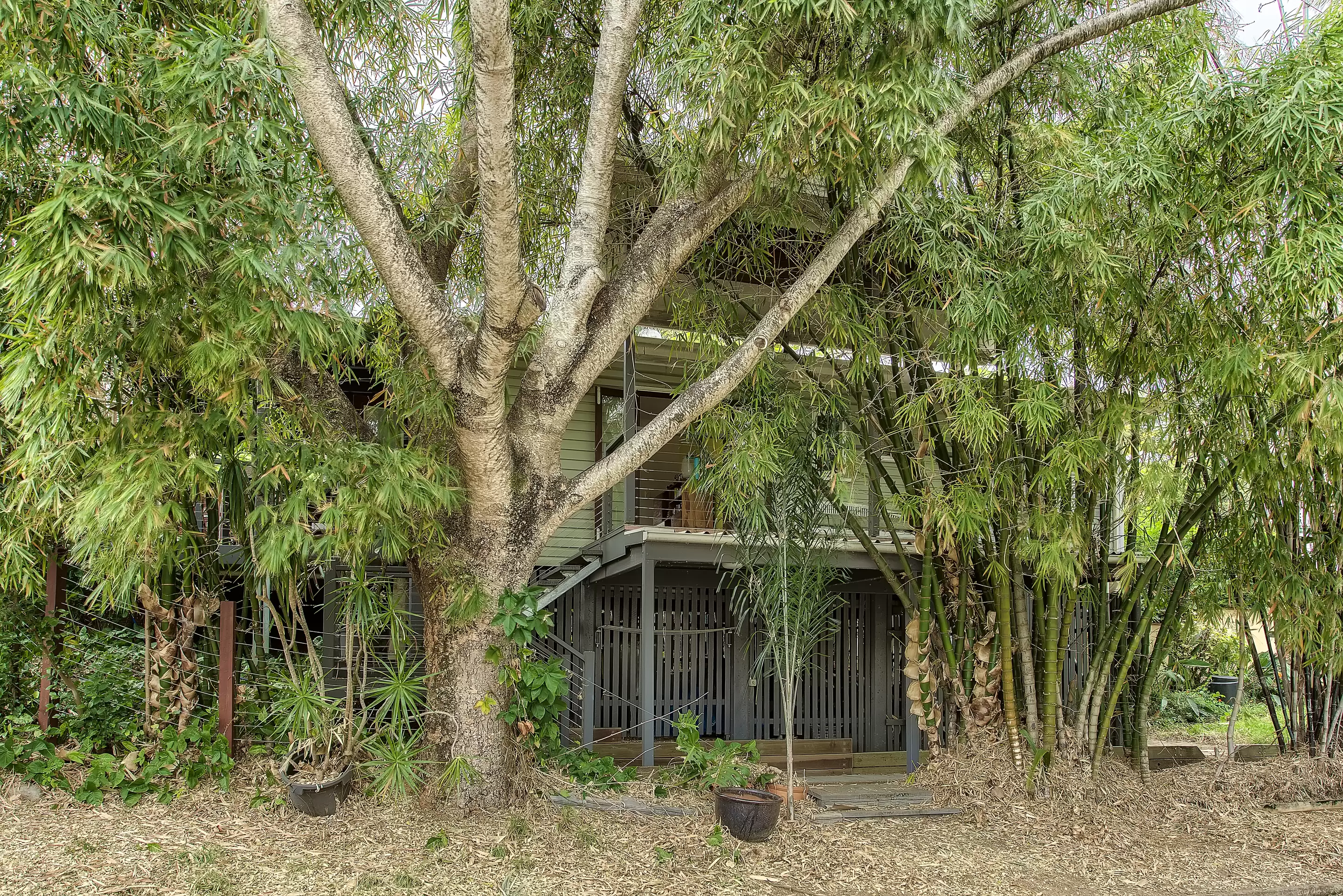22 Jones Street, Red Hill Sold by Aurora Property - image 13