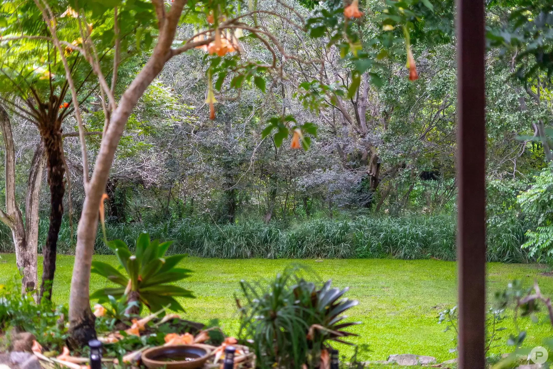 71 Olearia Street West, Everton Hills Sold by Aurora Property - image 1