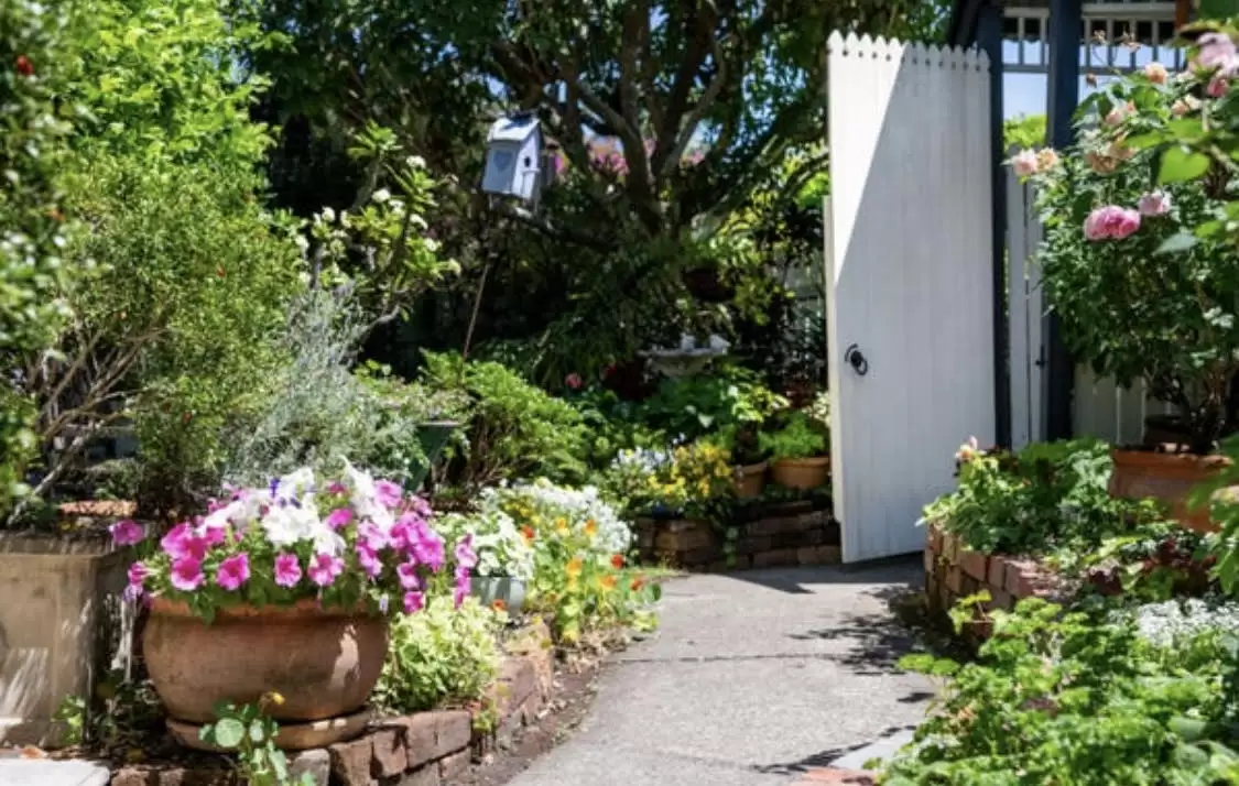 2 Raleigh Parade, Ashgrove Sold by Aurora Property - image 4
